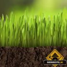 Zelf tuin ophogen / egaliseren