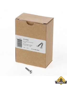 Ééntoer anti-inbraak schroeven 4x25mm Staal | 100 stuks