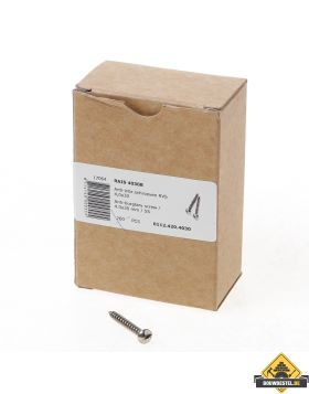 Ééntoer anti-inbraak schroeven 4x30mm RVS | 100 stuks