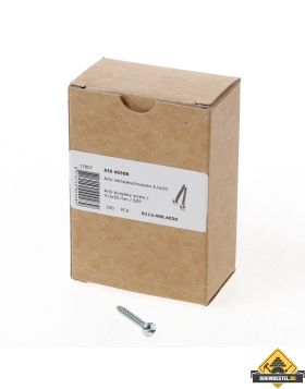 Ééntoer anti-inbraak schroeven 4x30mm Staal | 100 stuks