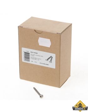 Ééntoer anti-inbraak schroeven 4x40mm RVS | 100 stuks