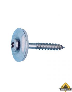 Afdichtschroef A2 RVS - 100 stuks