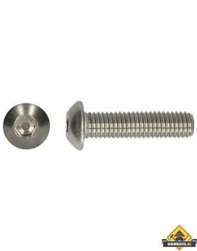 Binnenzeskant Bolkopschroef RVS A2 M6x16mm | 200 stuks