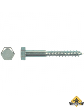 Houtdraadbout Verzinkt Staal DIN 571 Diameter 10x60mm | 100 stuks