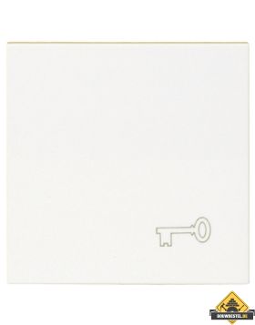 Opus 55 bedieningselement met sleutel symbool polarwit
