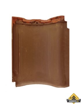 Panhaken voor Creaton (Eternit) Trost RG 10 modulair Dakpan (Haak / Panhaak / Dakpan Haken) – 200 stuks