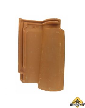 Panhaken voor Edilians Aquitaine vanaf 2015 Dakpan (Haak / Panhaak / Dakpan Haken) – 200 stuks
