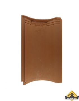 Panhaken voor Monier Braas Achat 10V Dakpan (Haak / Panhaak / Dakpan Haken) – 250 stuks