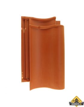 Panhaken voor Nelskamp H 13 Unsleben Dakpan (Haak / Panhaak / Dakpan Haken) – 250 stuks