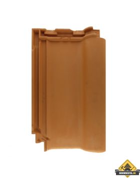 Panhaken voor Nelskamp Nibra F 10 U Dakpan (Haak / Panhaak / Dakpan Haken) – 250 stuks