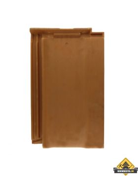 Panhaken voor Nelskamp Nibra R 10 Dakpan (Haak / Panhaak / Dakpan Haken) – 250 stuks