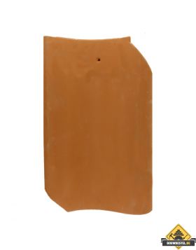 Panhaken voor Nelskamp Schermbeck Oude holle (OH 16) Dakpan (Haak / Panhaak / Dakpan Haken) (latdikte min. 24 mm) – 200 stuks