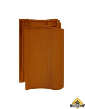 Panhaken voor Roben BAG Holstein Plus Dakpan (Haak / Panhaak / Dakpan Haken) – 250 stuks