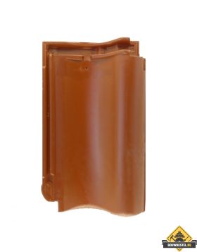 Panhaken voor Roben BAG Limburg plus (tot 2009) Dakpan (Haak / Panhaak / Dakpan Haken) – 250 stuks