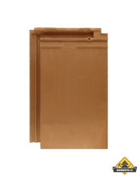 Panhaken voor Wienerberger Koramic Migeon Actua 10 LT (Lantenne) Dakpan (Haak / Panhaak / Dakpan Haken) – 250 stuks