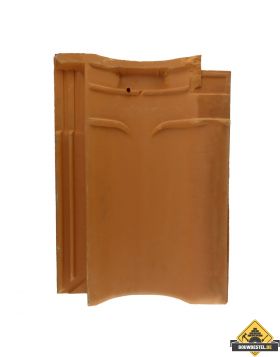 Panhaken voor Wienerberger (Koramic) Narvik VHV Narvik Dakpan (Haak / Panhaak / Dakpan Haken) – 250 stuks