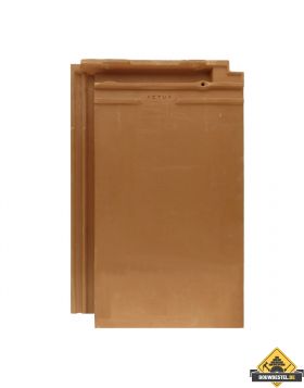 Panhaken voor Wienerberger Langenzenn Actua 10 LG Dakpan (Haak / Panhaak / Dakpan Haken) – 250 stuks