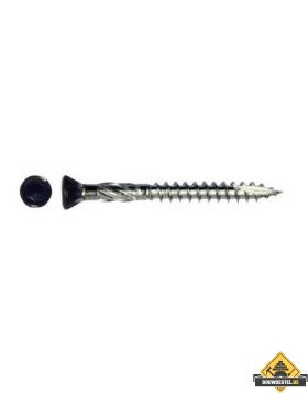 Potdekselschroef Verzonken Kop Torx zwart * 4x40 Rvs / Inox C2 (T-15) - 200 stuks