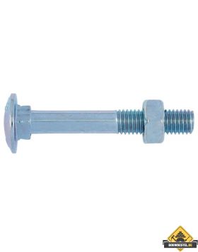 Slotbout M6 - 200 st - vierkantnok en moer - 40x16,55 mm