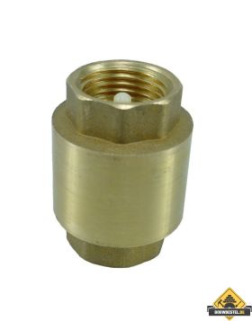 3/4 inch Terugslagklep met Veer