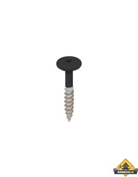 Torx schroef 32mm rvs V2A 100 stuks Grafietzwart