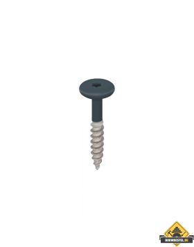 Torx schroef 32mm rvs V2A 100 stuks Monumentenblauw