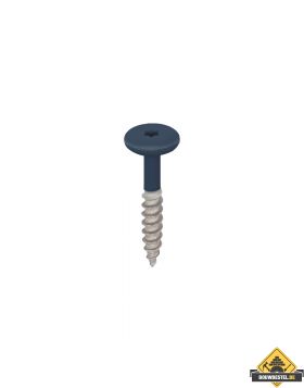 Torx schroef 32mm rvs V2A 100 stuks Staalblauw