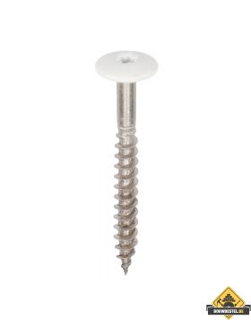 Torx schroef 45mm rvs V4A 100 stuks Wit