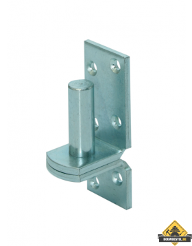 Plaatduim 16 mm verzinkt 