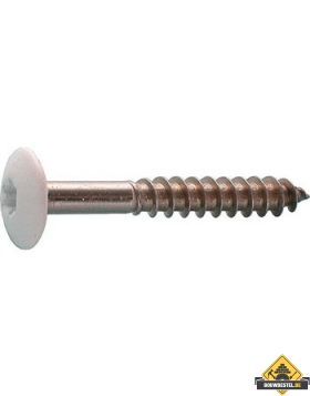 Schroef 4,8x38 Torx op kleur t.b.v. HPL Plaat wit 130 per 100 st.