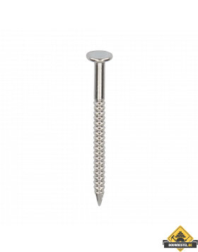 RVS nagel 30mm 250 stuks