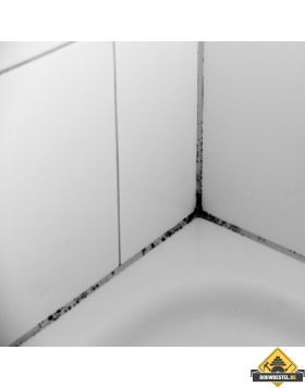Schimmel in badkamer verwijderen en voorkomen