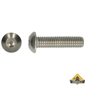 Binnenzeskant Bolkopschroef RVS A2 M5x12mm | 200 stuks