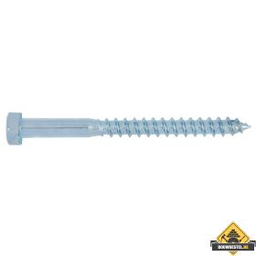 Houtdraadbout 12x40mm SW19 | Galvanisch verzinkt staal | 50 stuks