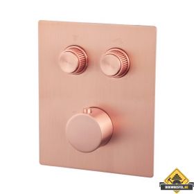 Wiesbaden Caral Klik Pro afbouwdeel inbouwthermostaat 2 weg geborsteld koper (HELAAS NIET MEER LEVERBAAR)