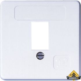 Opus 55 afdekking voor TAE aansluitdoos 1-voudig | antraciet