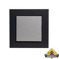 Opus 55 Kubus pulsschakelaarwip, alu-zilver antraciet zijdeglans afdekraam enkelvoudig