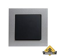 Opus 55 Kubus pulsschakelaarwip, antraciet / alu-zilver zijdeglans afdekraam enkelvoudig