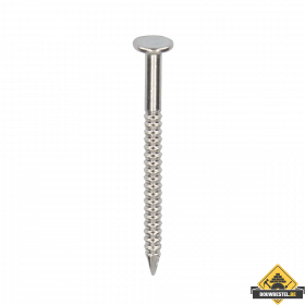 RVS nagel 30mm 250 stuks