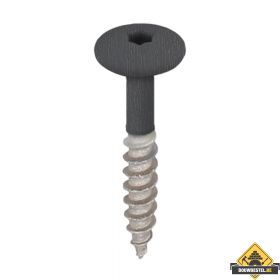 Torx schroef 32mm rvs V2A 100 stuks Zwartgrijs