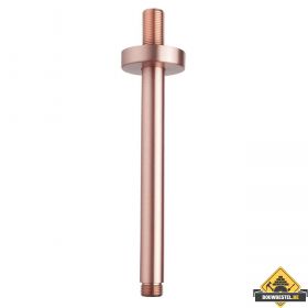 Wiesbaden luxe douche-arm rond plafondbev. 20cm | Geborsteld koper